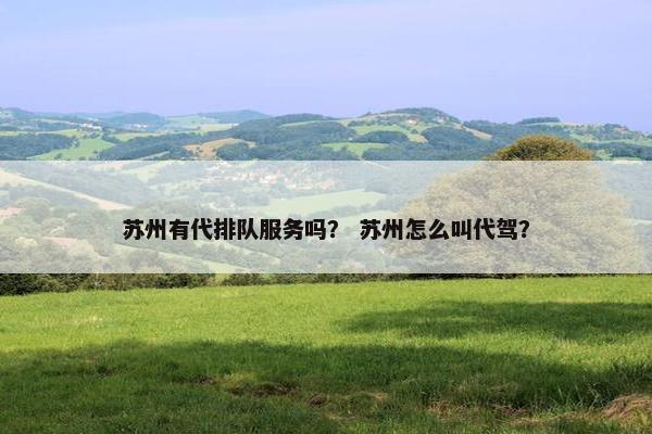苏州有代排队服务吗？ 苏州怎么叫代驾？