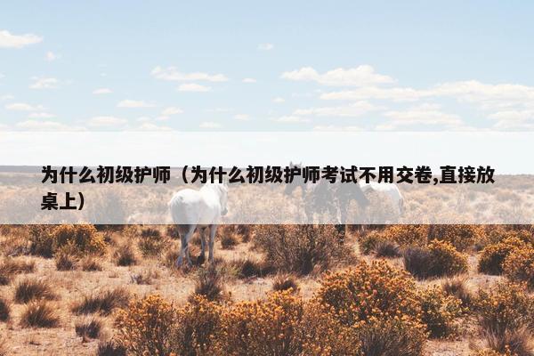 为什么初级护师（为什么初级护师考试不用交卷,直接放桌上）