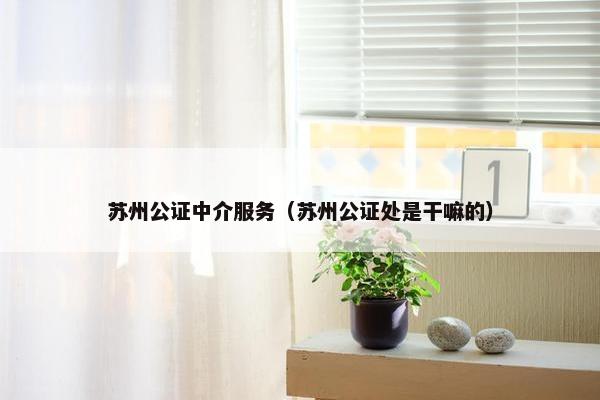 苏州公证中介服务（苏州公证处是干嘛的）