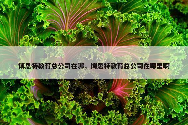 博思特教育总公司在哪，博思特教育总公司在哪里啊